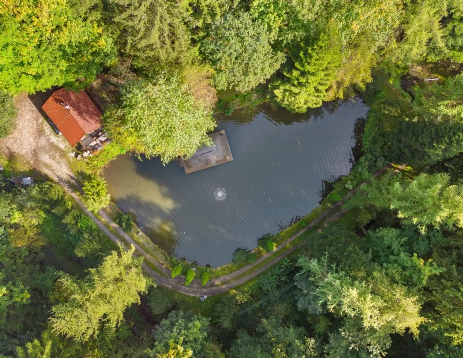 Petri Heil - Fischerparadies! Fischteiche mit romantischer Hütte und Steg