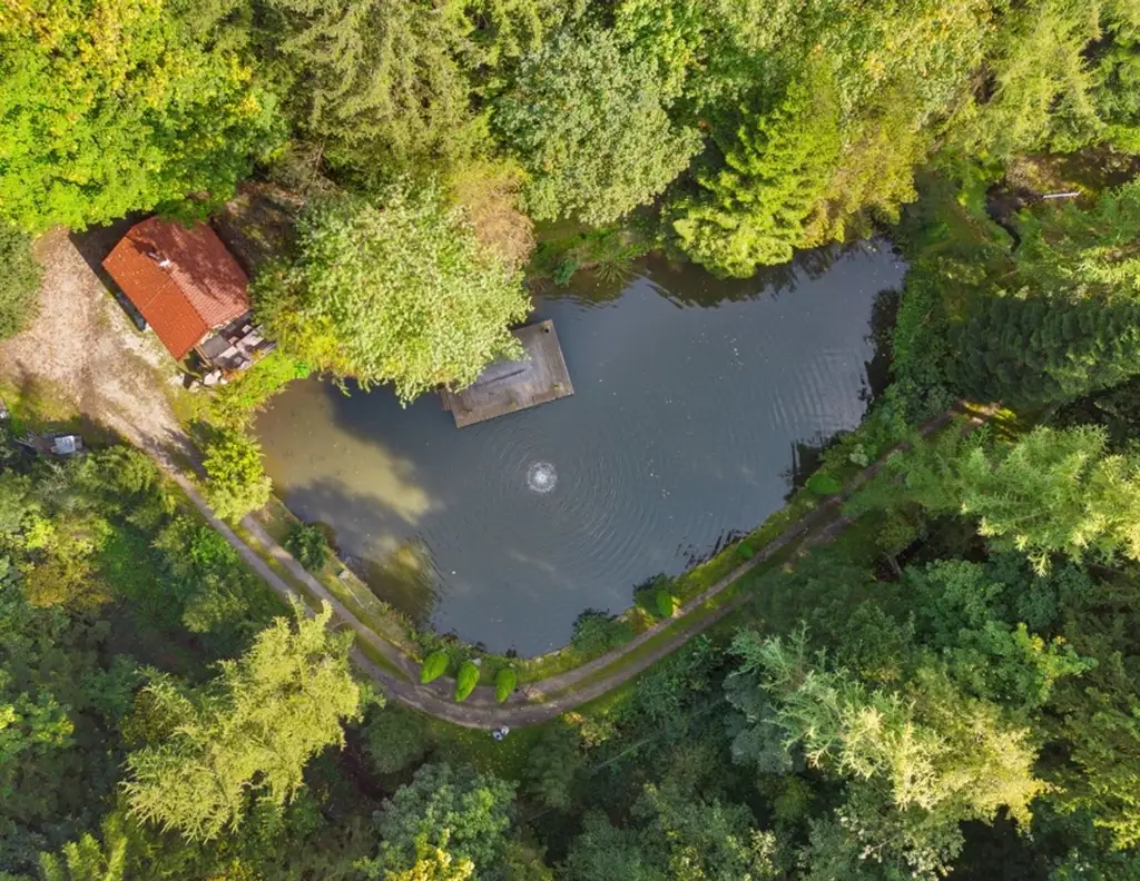 Petri Heil - Fischerparadies! Fischteiche mit romantischer Hütte und Steg