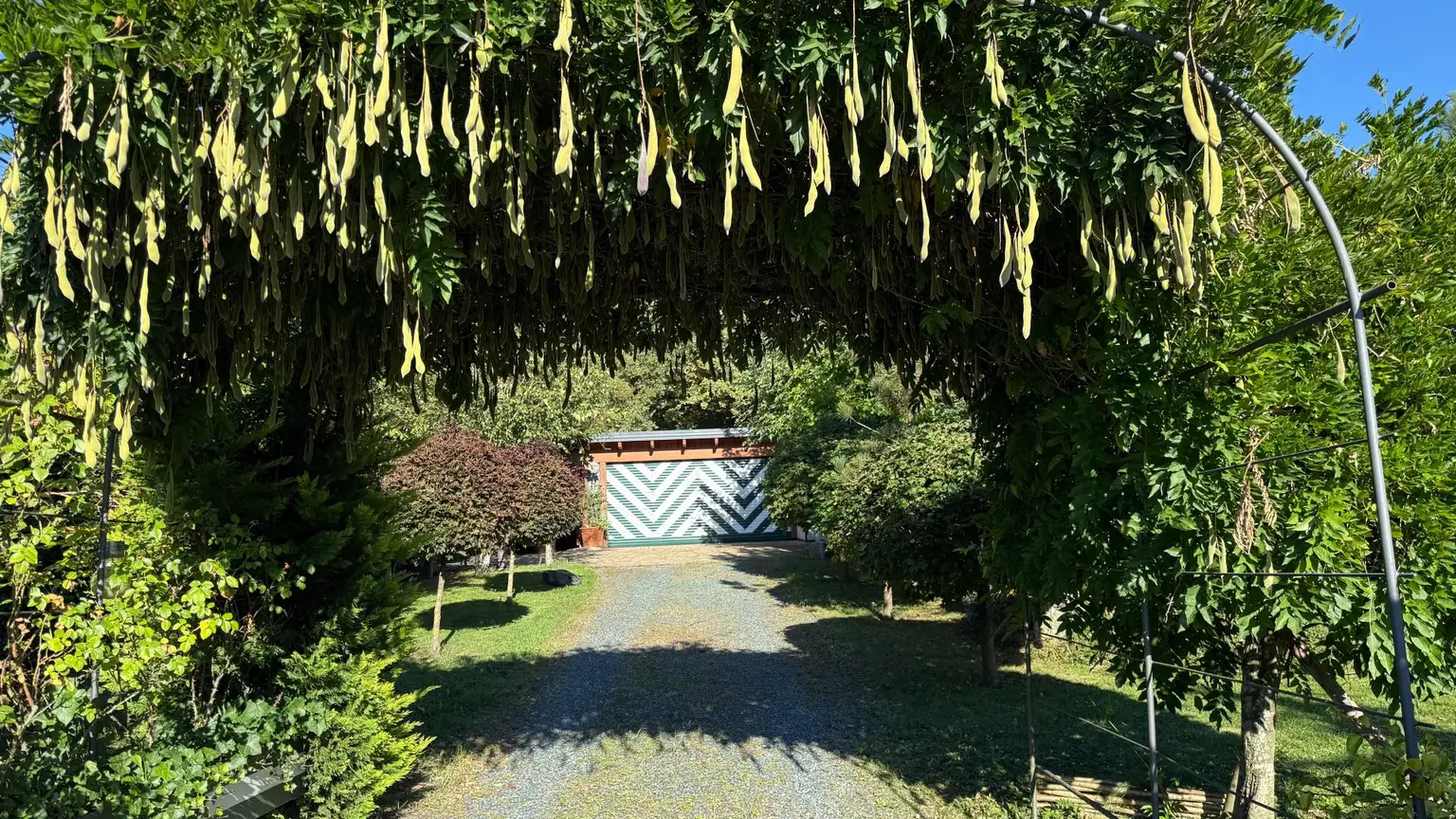 Attraktiver Bungalow auf einem großzügigen, sonnigen Grundstück in ruhiger Südlage