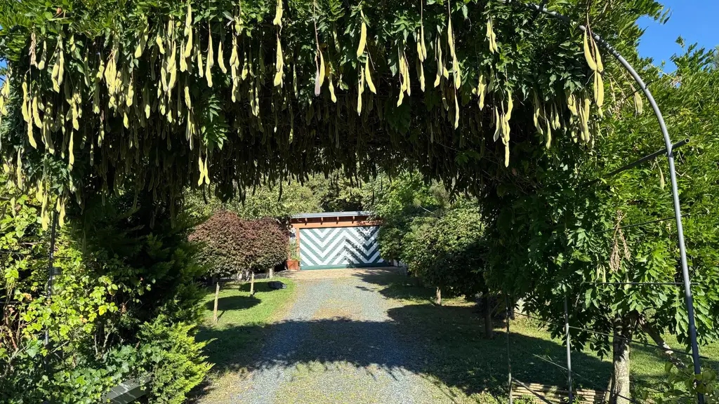 Attraktiver Bungalow auf einem großzügigen, sonnigen Grundstück in ruhiger Südlage