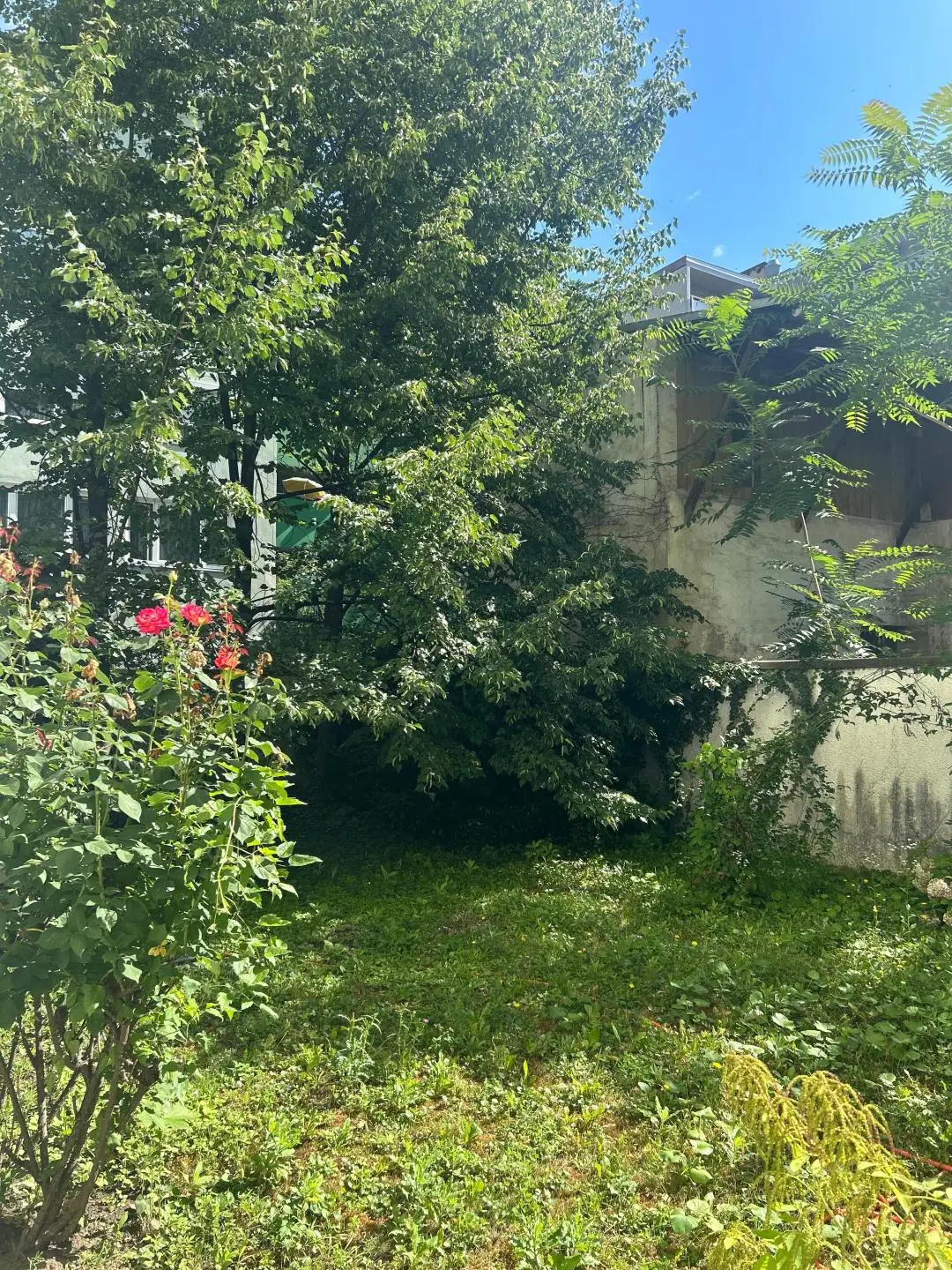 1d680f68-2b68-4028-8