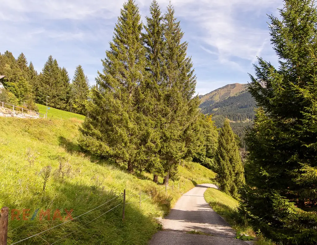 Ankommen und Ausspannen auf 950 m² Naturglück
