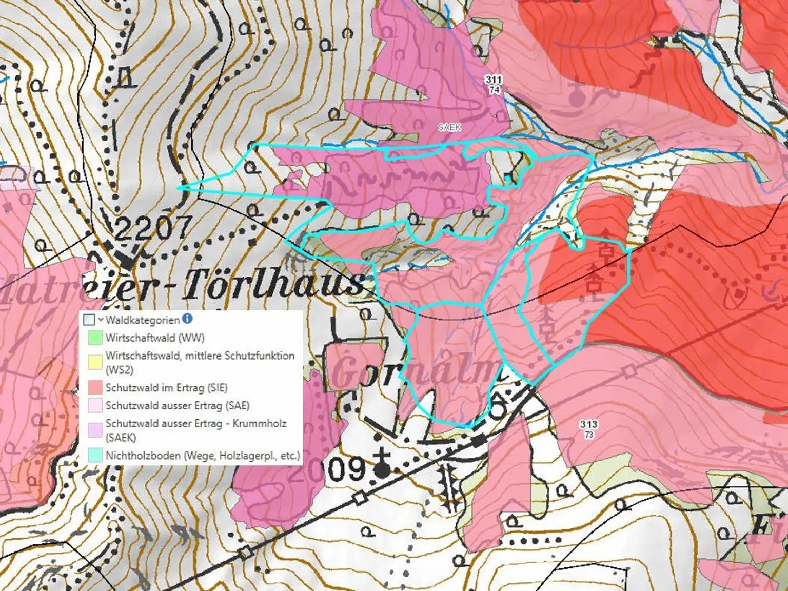 Waldparzellen am Fuße des Großglockners