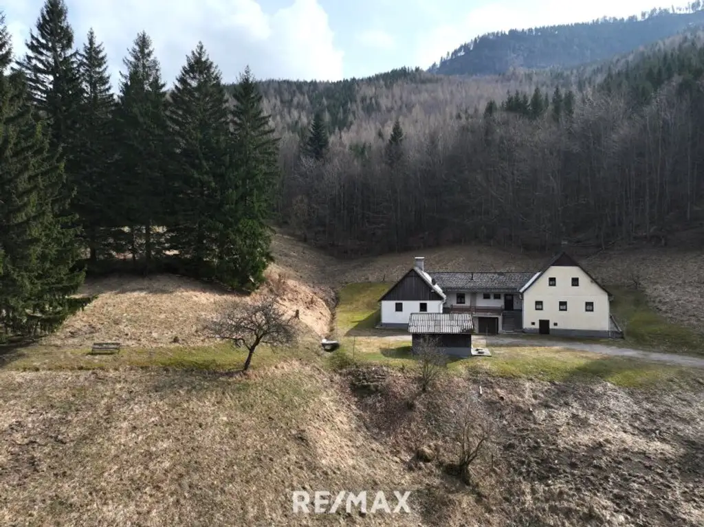 Besichtigungstag, am 26. März, nur mit Voranmeldung möglich! - Gemütliches Landhaus in Alleinlage