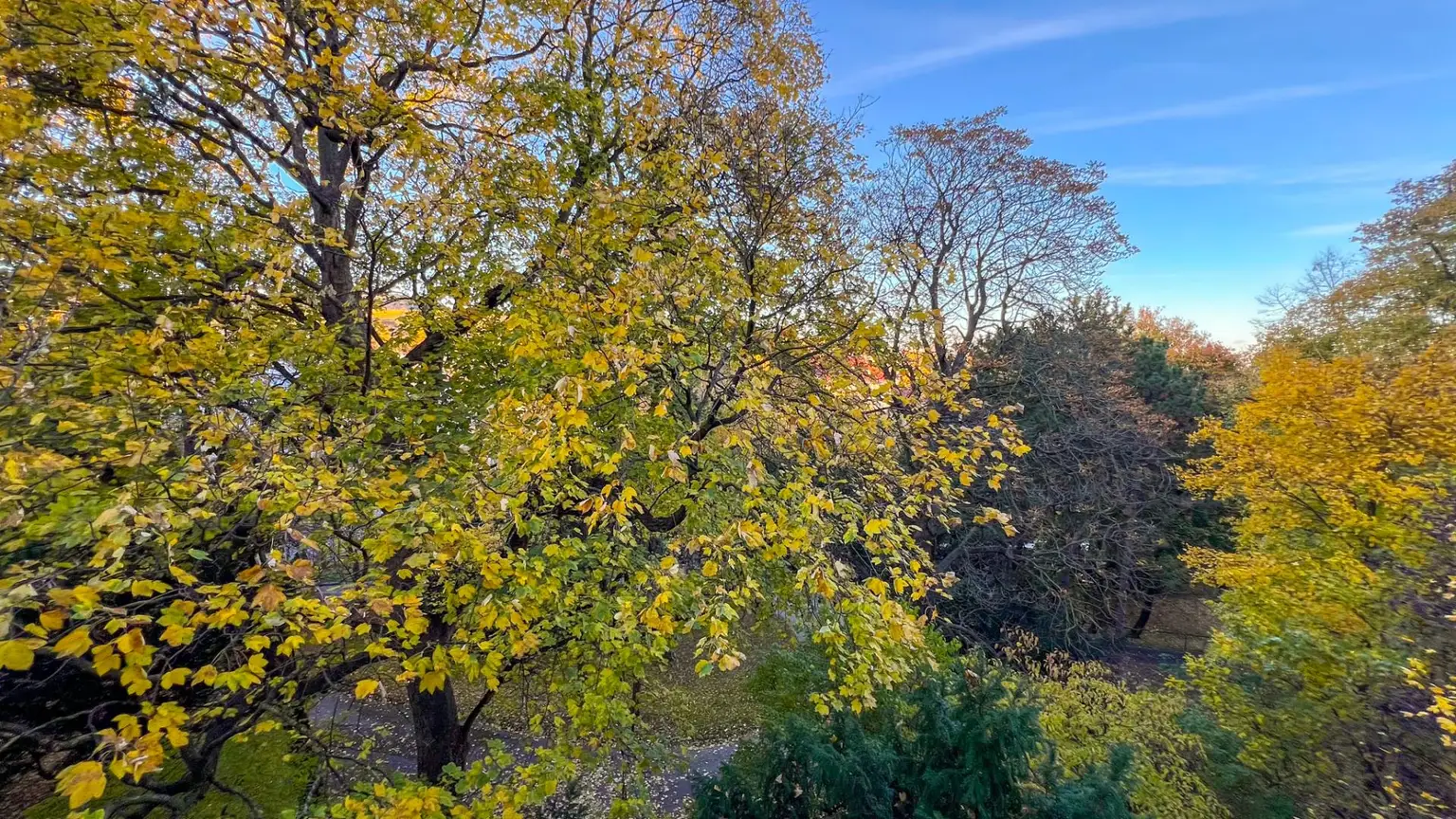 Exklusive 3-Zimmer-Wohnung mit großer Terrasse und Grünblick