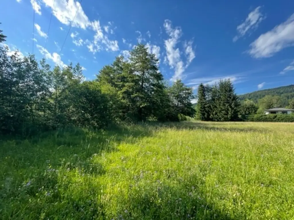 Schöne landwirtschaftliche Flächen mit 3.208m² - Nähe Hafnersee - Kein Baugrund!