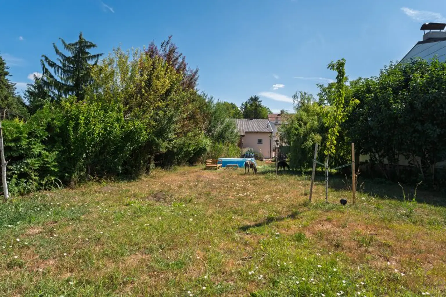 Hinterer Garten