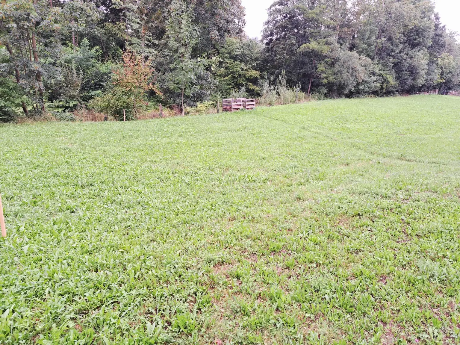 GROSSES GRUNDSTÜCK MIT SCHUPPEN