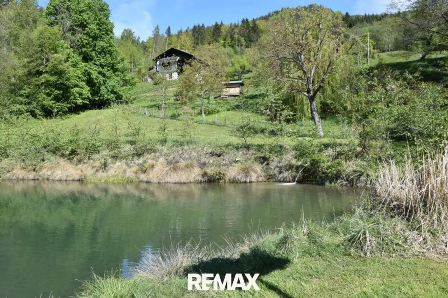Teich mit Obstgarten