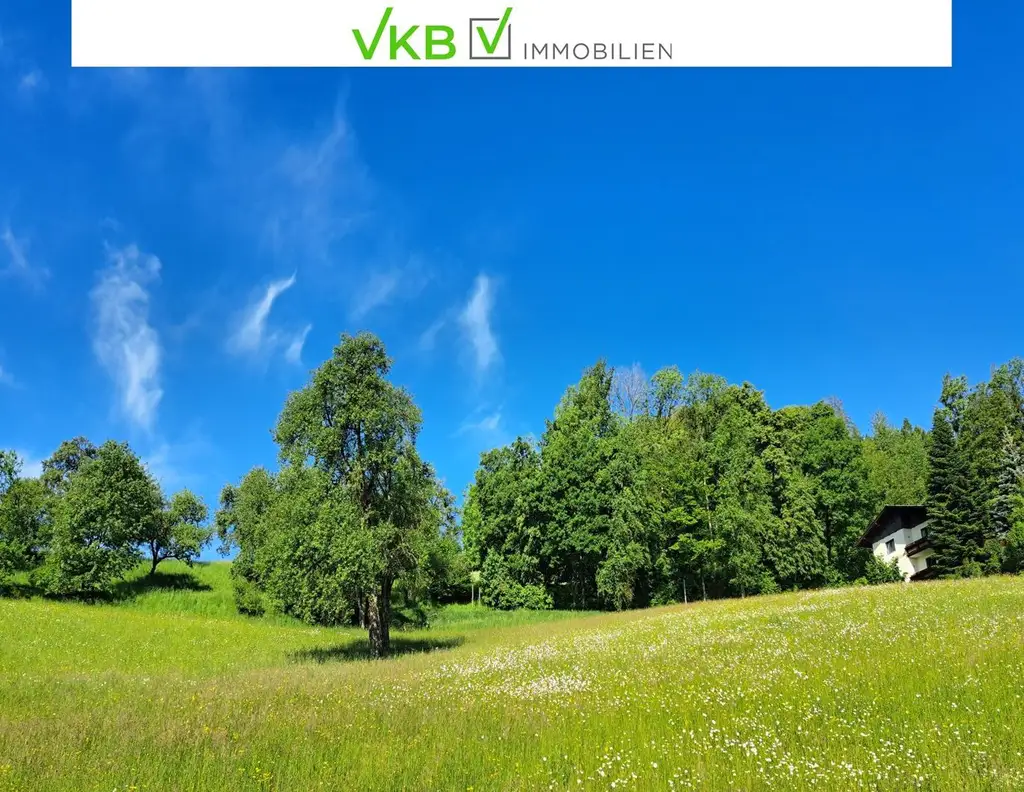 Bad Schallerbach: NEUER PREIS Großflächiges Baugrundstück (6395m²) in Zentrumslage zu verkaufen!