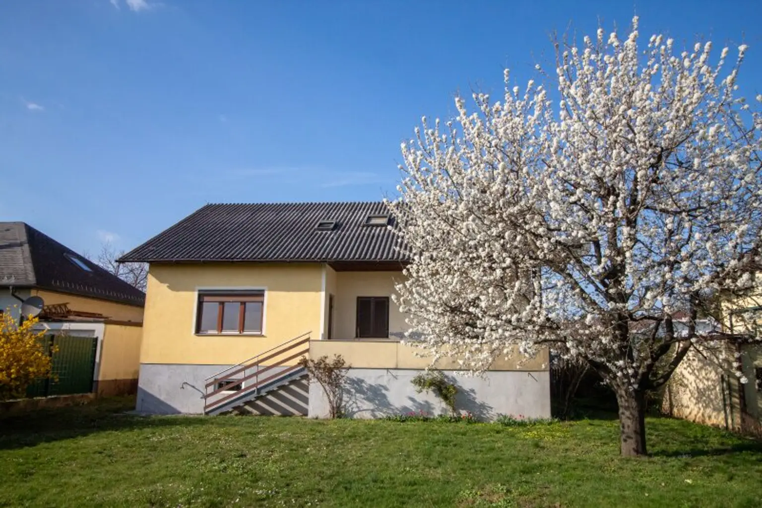 Blick vom Garten zum Haus