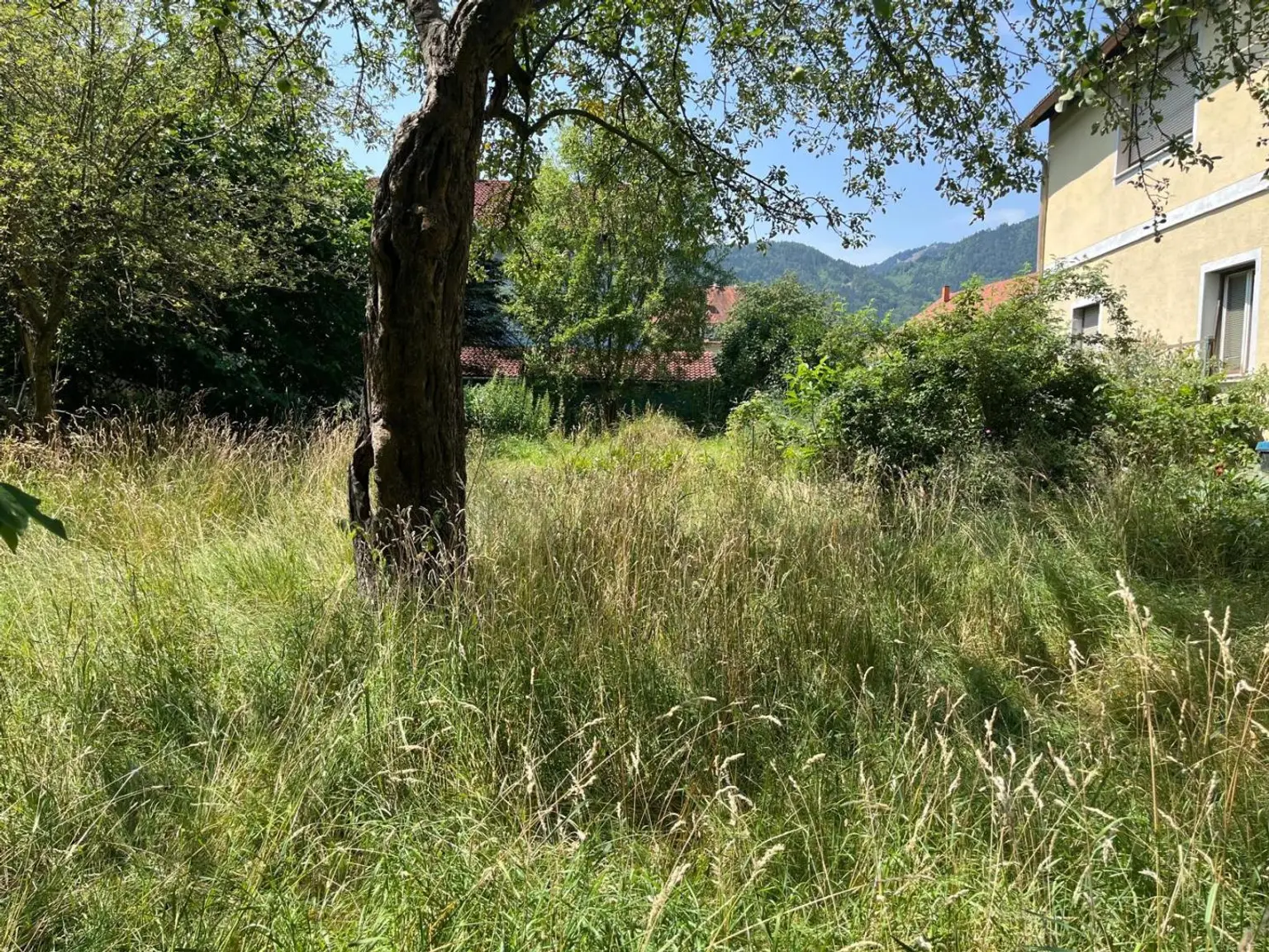 Grundstück