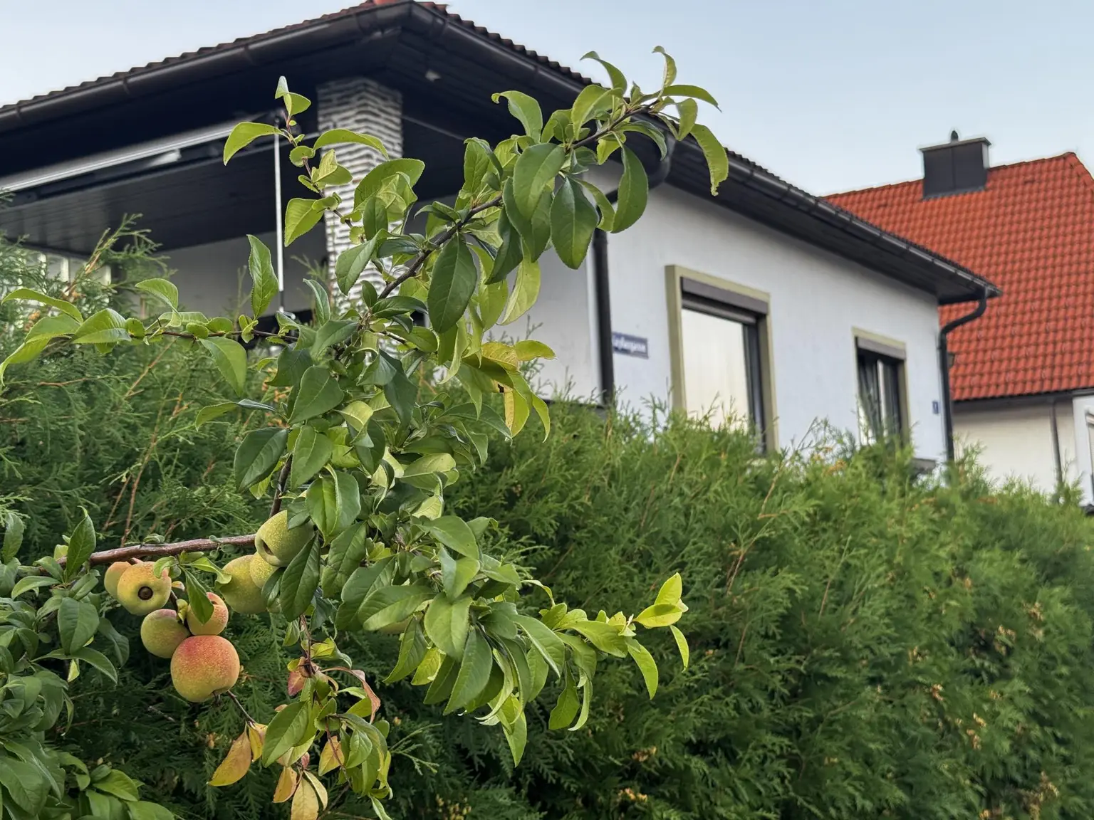 Charmanter Bungalow mit Keller, Garten und Nebenobjekten