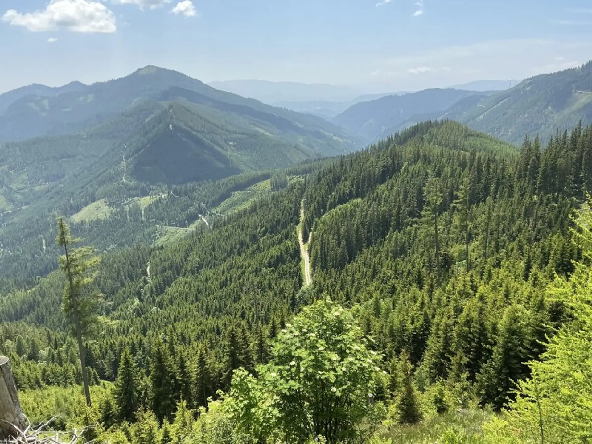 1.000 ha Forstbesitz
