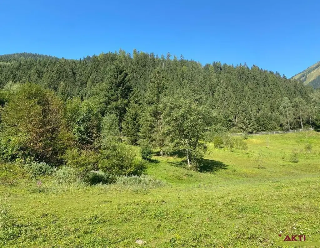 Wohnen im Herzen der Alpen - Baugrundstück in malerischer Umgebung in Donnersbachwald.