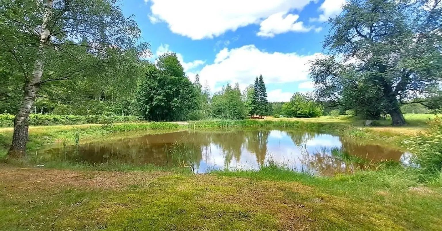 Teich
