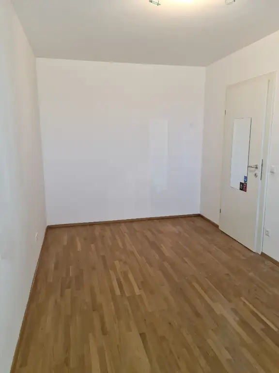 Zimmer IV