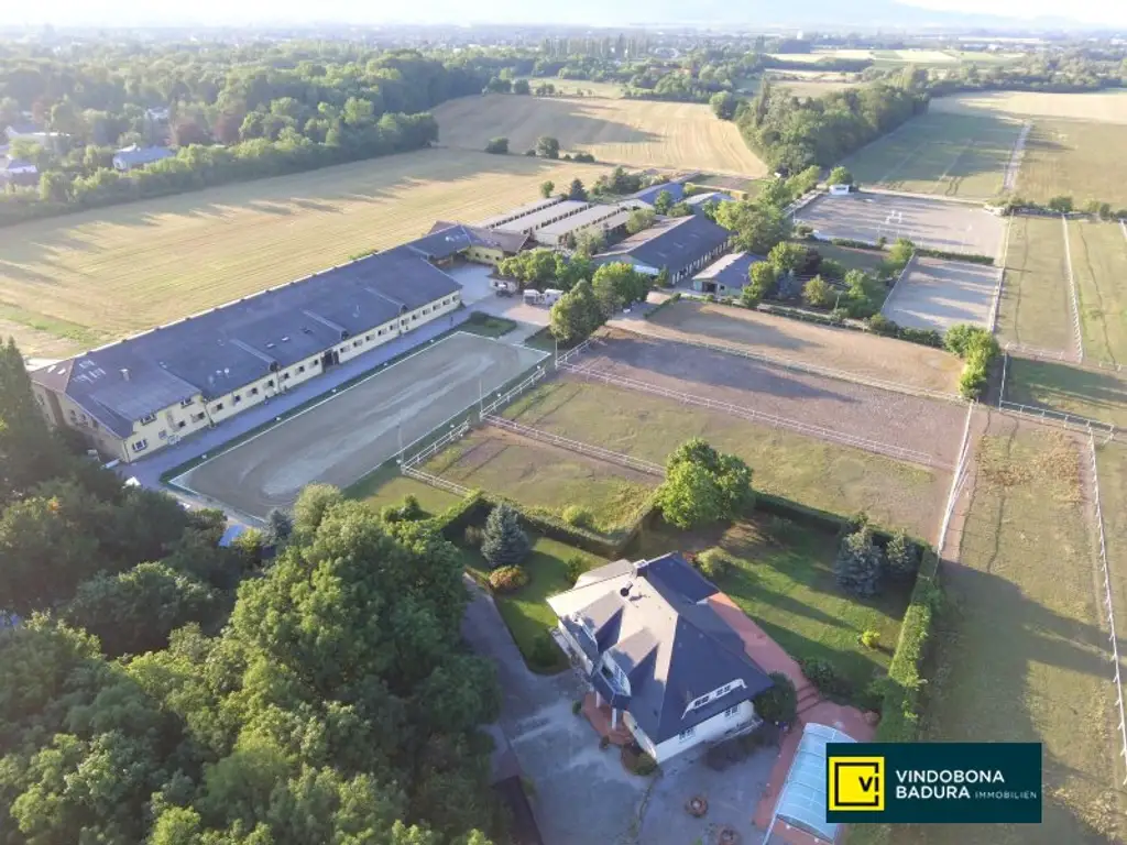 Exklusive Reitsportanlage vor den Toren Wiens – 145 Boxen | Reithallen | Reitplätze | Koppeln | Villa & Personalwohnungen