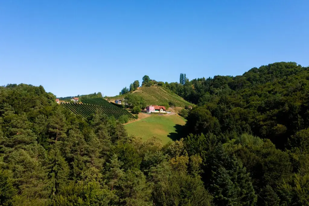 "Privates Paradies mit Panorama – 5 Hektar Freiheit & ein Zuhause zum Verlieben"