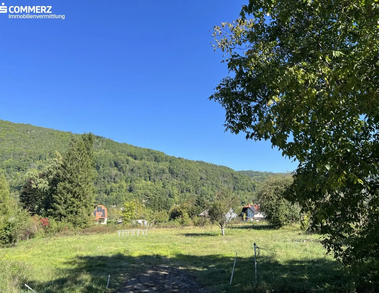 Grünblick in Pettenbach