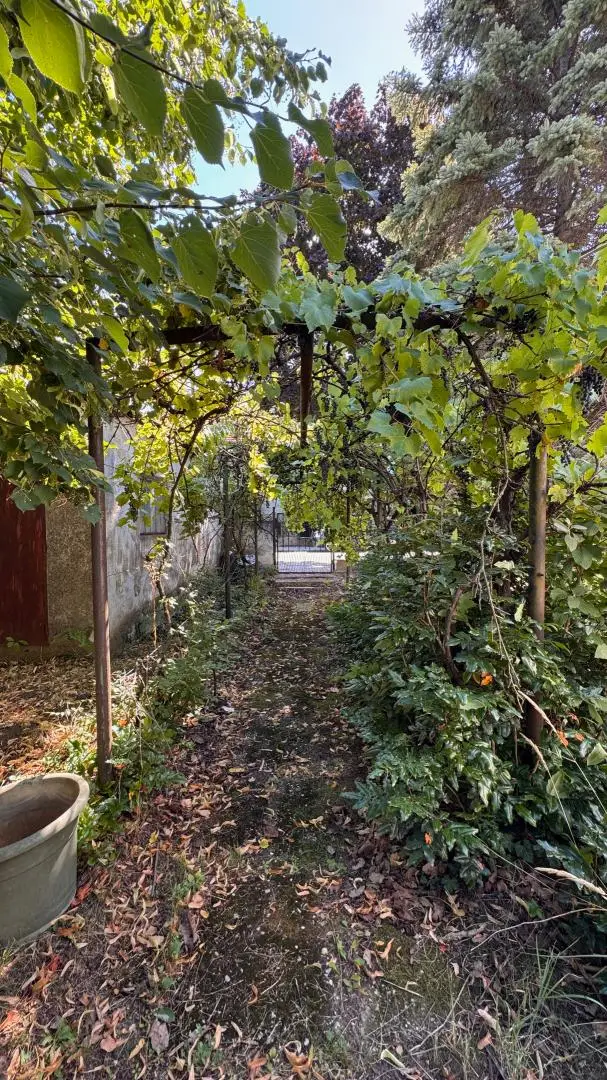 AUFGESCHLOSSEN! ANGESCHLOSSEN! GRUNDSTÜCK - Gänserndorf Süd
