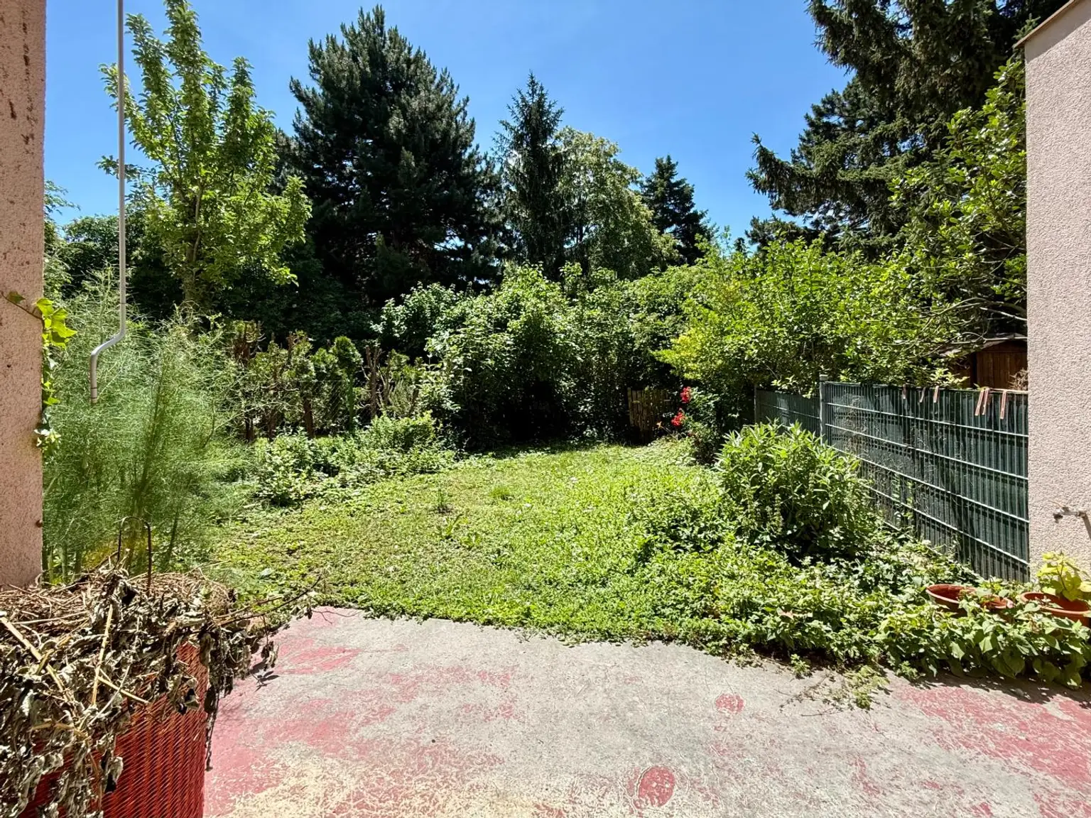 10 Blick in den Garten