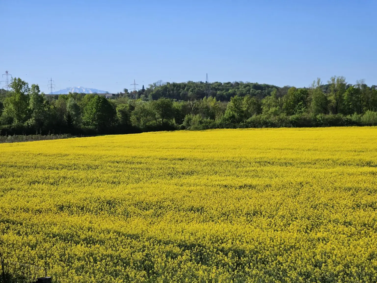 Ötscherblick