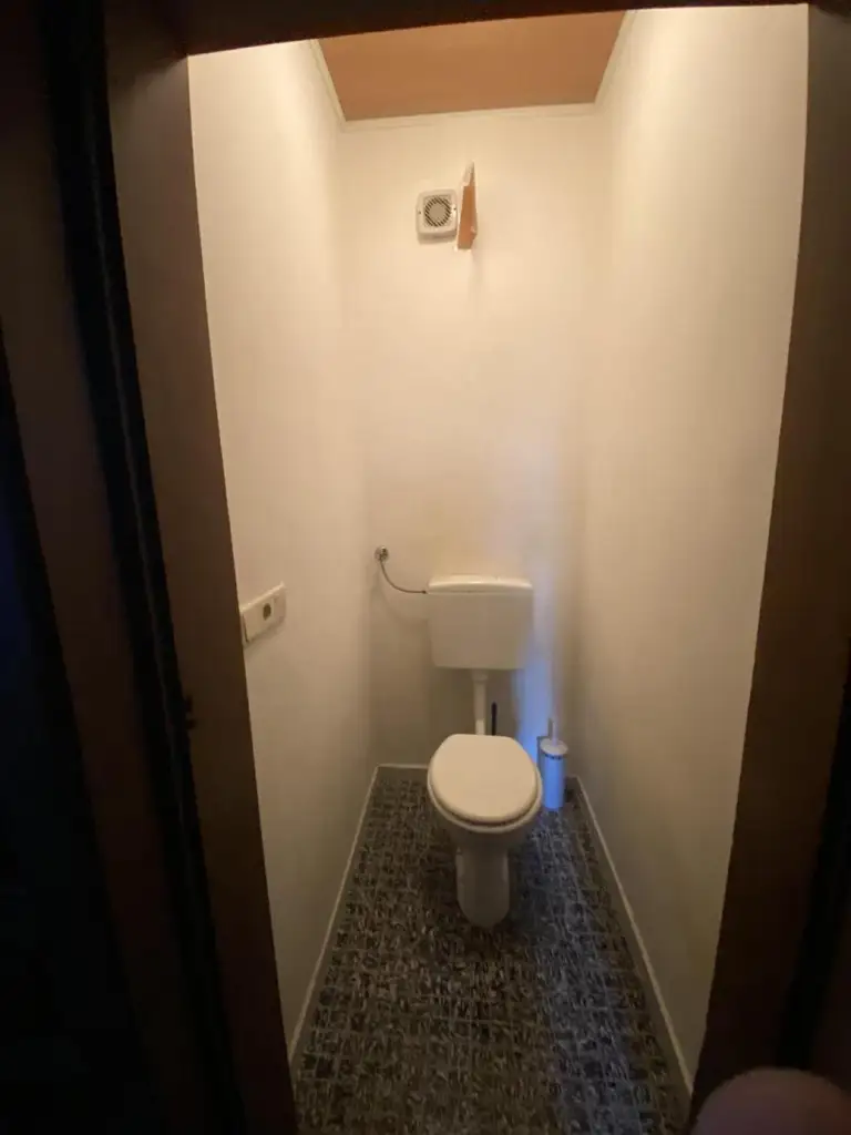 "Jahrhundertwende Stilhaus mit Wald"