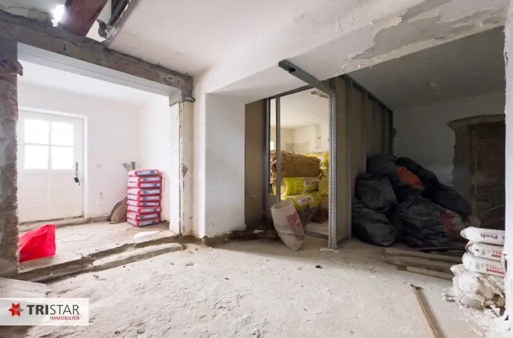 Bestlage Döbling · Zwei großzügige Wohnungen oder das komplette Haus als Einheit · Cottageviertel !