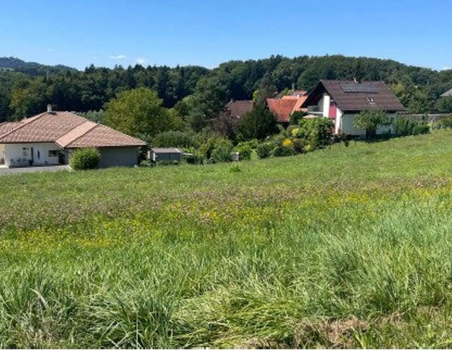 4 einzigartige Baugrundstücke in Ehrenhausen an der Weinstraße! *Provisionfrei*