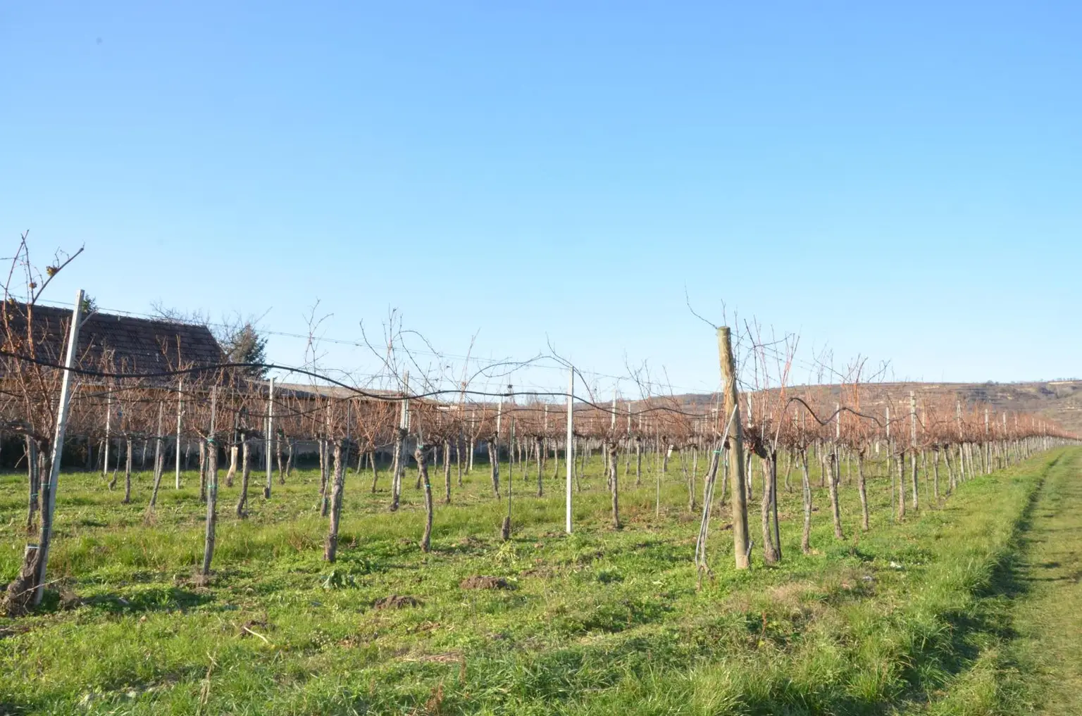 Grundstück Ansicht 3