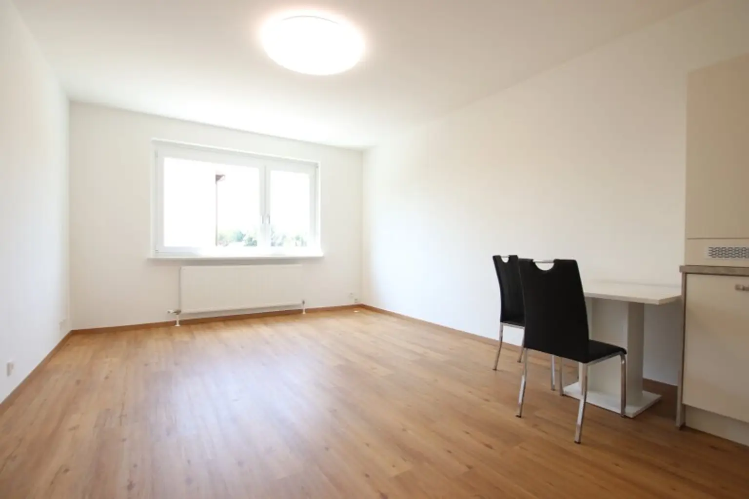 Schöne und sanierte Garconniere in Welzenegg - Schachterlweg Nähe Lutz