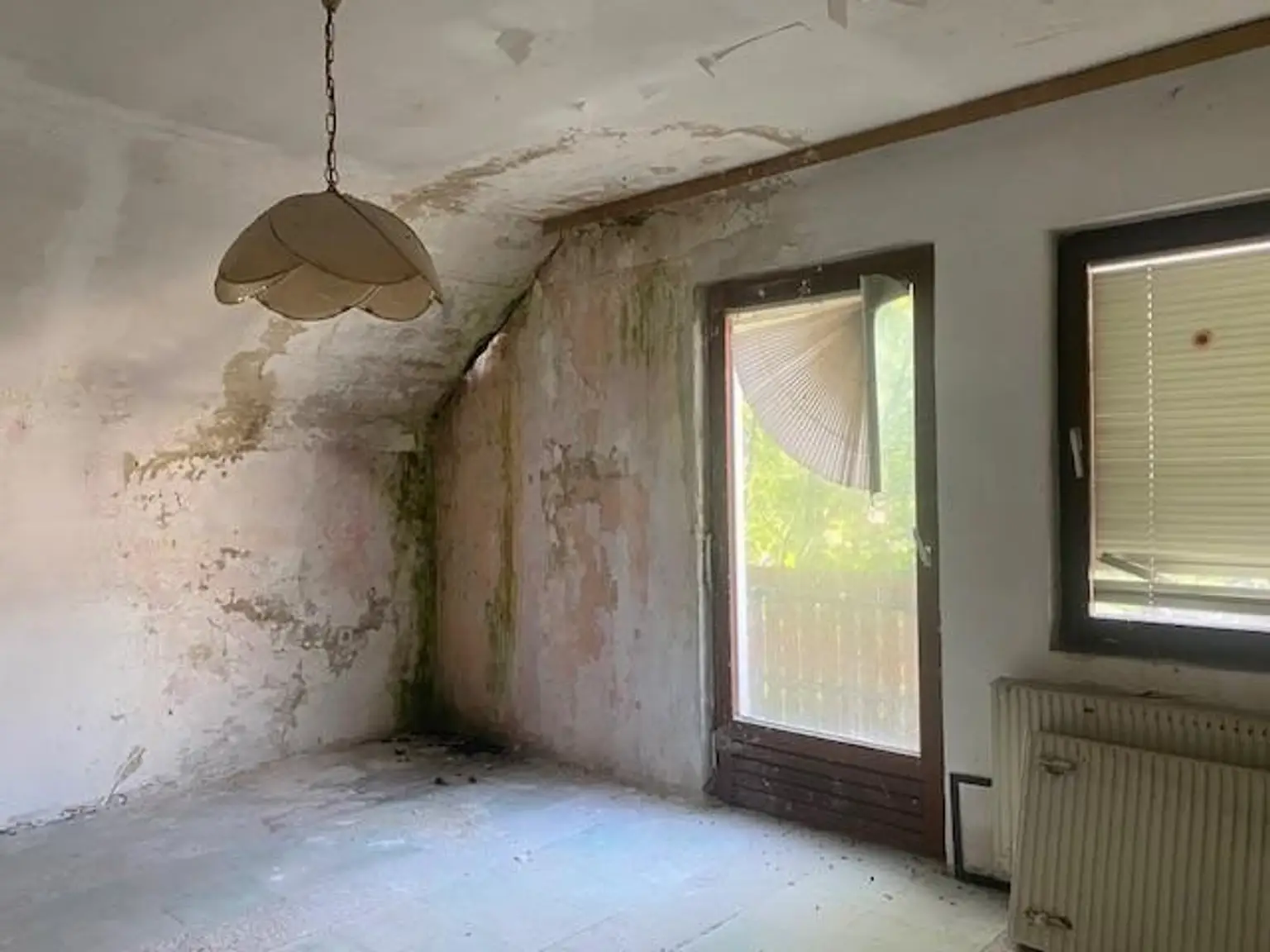 Handwerkerkönig gesucht! Abbruchobjekt, Bauland, Wiese und Wald!