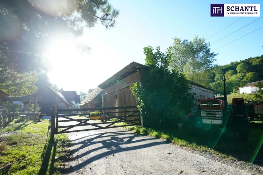 SENSATIONELLES JUWEL! Exklusiver Vierkanthof im Thermenland Steiermark – Wohnen, Reiten & Leben mit Pool und Natur!