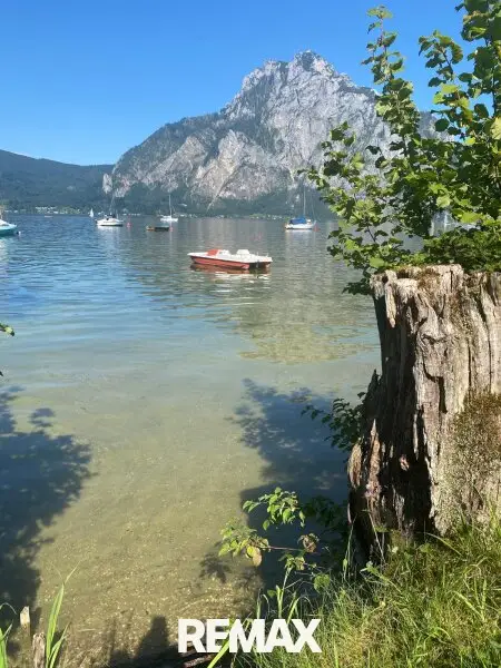 Der Trau(m)see