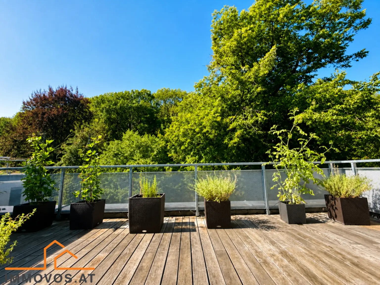 Aussicht Terrasse.png