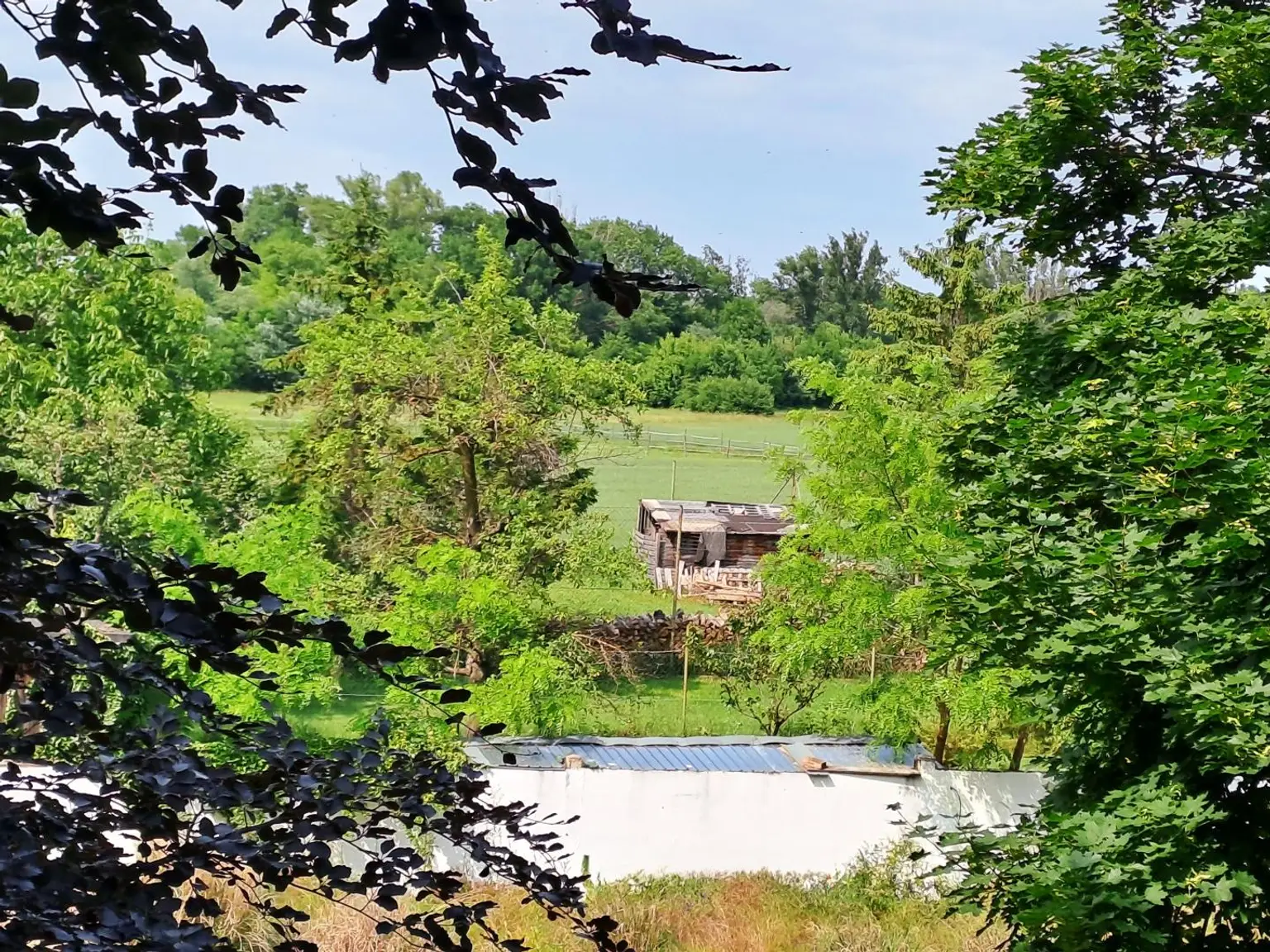 Ausblick in den Garten
