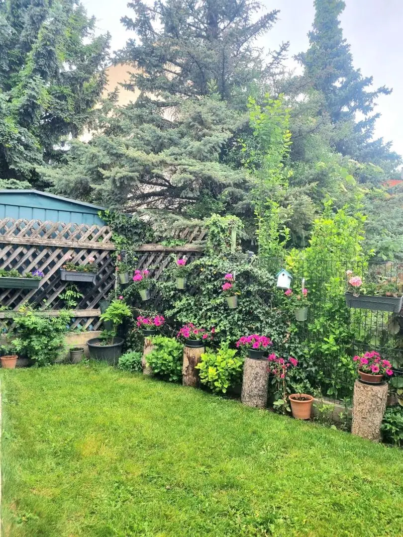 Garten 04
