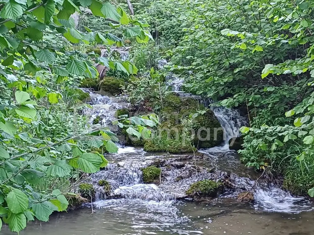 Gartenflächen am Ortsrand von Willendorf mit Grünblick 19,50 per m²
