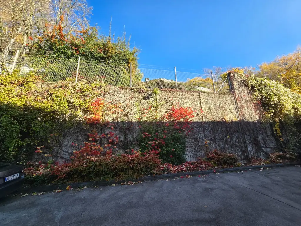 LAGE, LAGE, LAGE... 51 m² Wohnung in NEUWALDEGG - sanierungsbedürftig