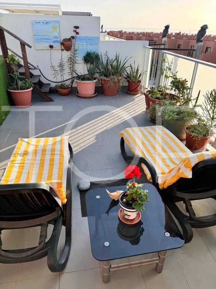 WhatsApp Image 2026-01-09 at 15.18.01 (1) - Copy