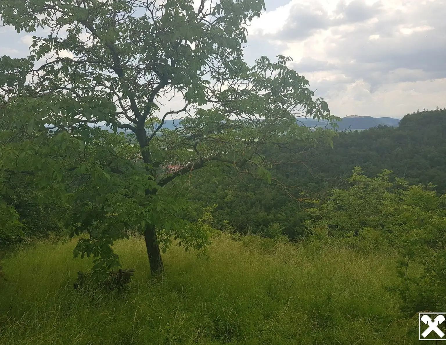 FREIZEITPARADIES FÜR HOBBYGÄRTNER IN EINZIGARTIGER AUSSICHTSLAGE MIT DONAUBLICK - KEIN BAUGRUNDSTÜCK!