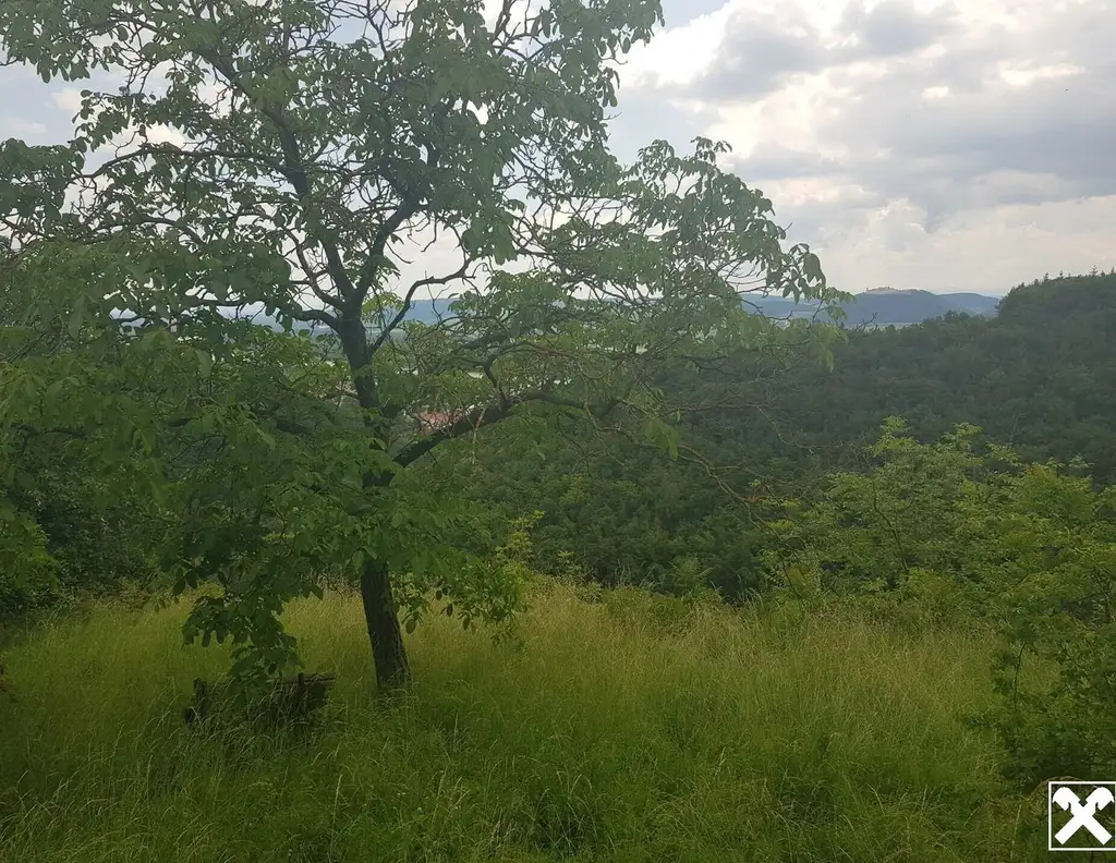 FREIZEITPARADIES FÜR HOBBYGÄRTNER IN EINZIGARTIGER AUSSICHTSLAGE MIT DONAUBLICK - KEIN BAUGRUNDSTÜCK!
