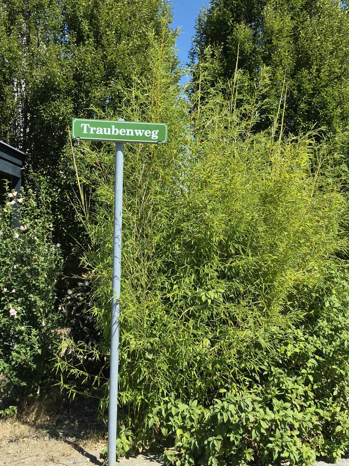 Seeresidenz mit privaten Seezugang - Ihr Rückzugsort am Wasser