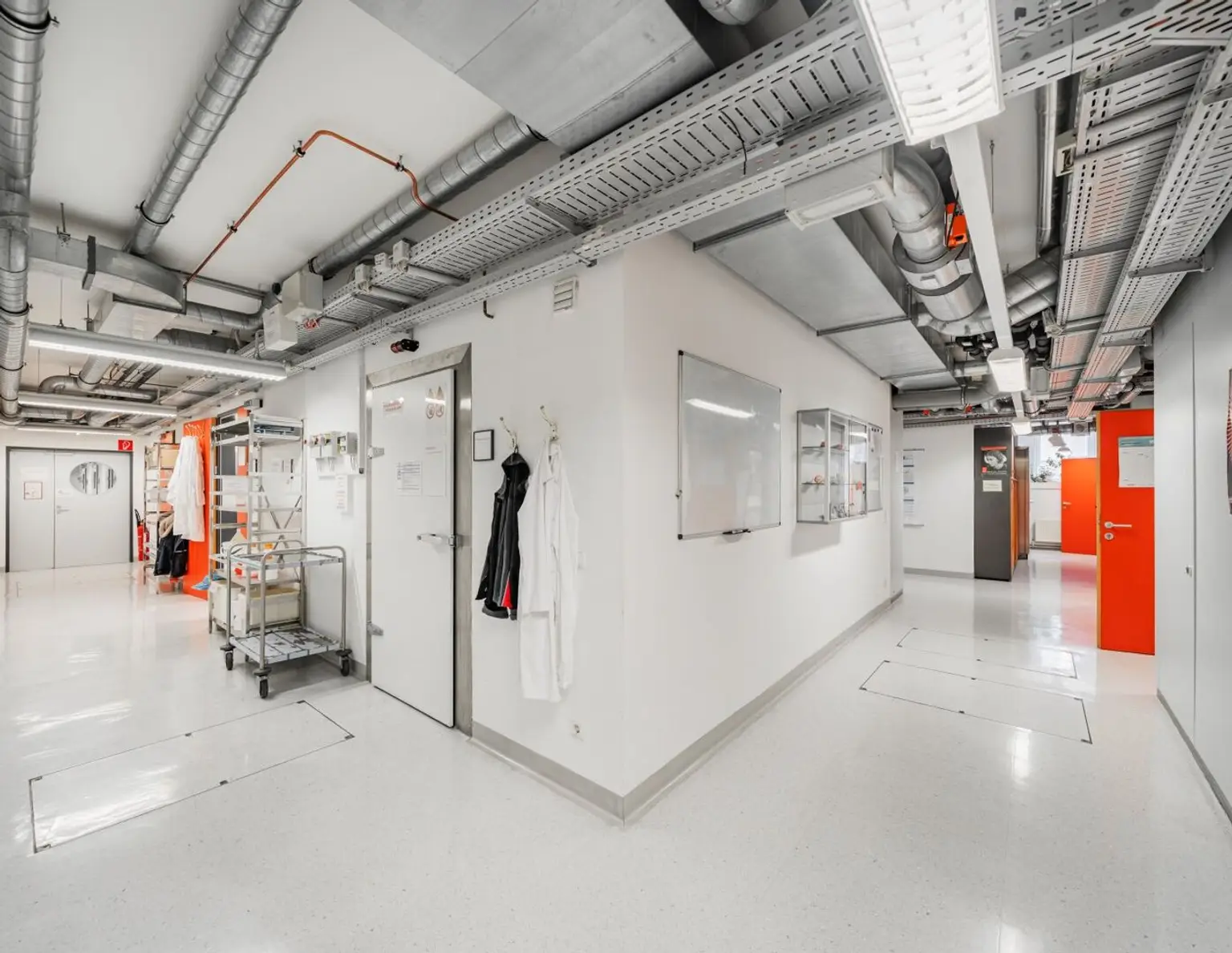 Vollausgestattete Laborflächen im Vienna Bio Center