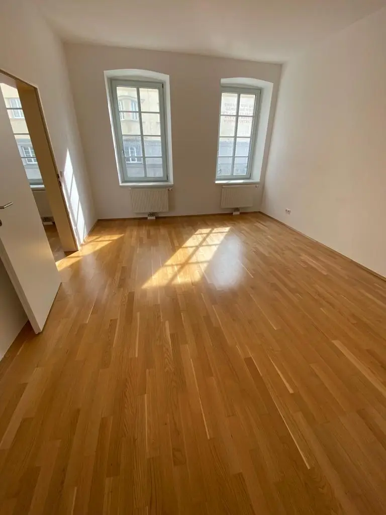 Zimmer V