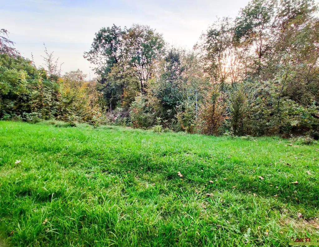 Wohnbau-Grund mit Waldanteil zentral in Lambach. - Infrastruktur und Bahn fußläufig. - Unter 15 Min. nach Wels.