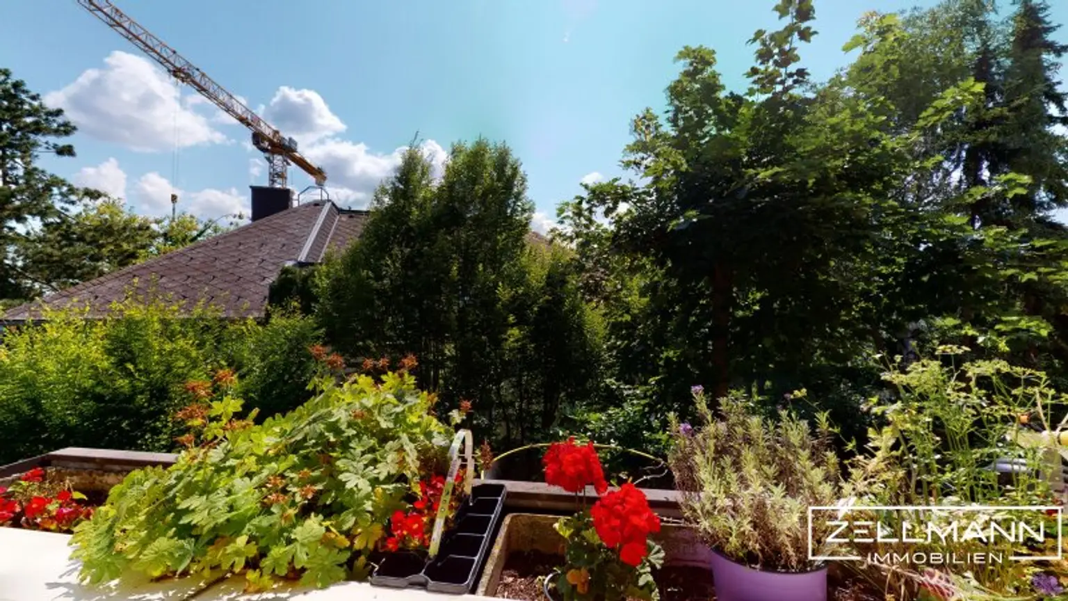 Aussicht Balkon/Loggia OG