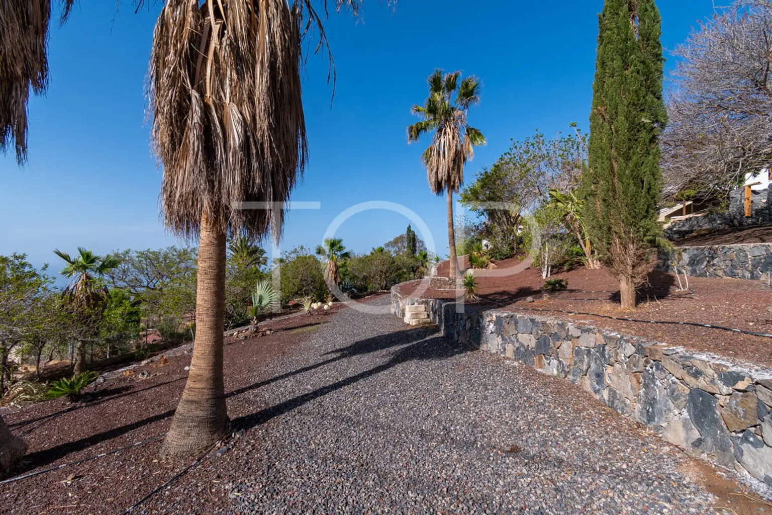 Villa-Los-Menores-xxx-Teneriffa-5392