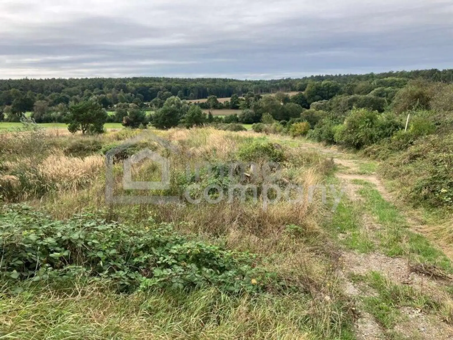 Traumhafter Grund mit Teilwidmung Reitplatz/Reitanlage - 7250 m² um nur 80.000 €!